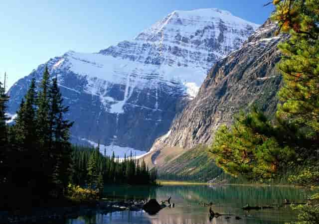 德尔塔变异毒株中国