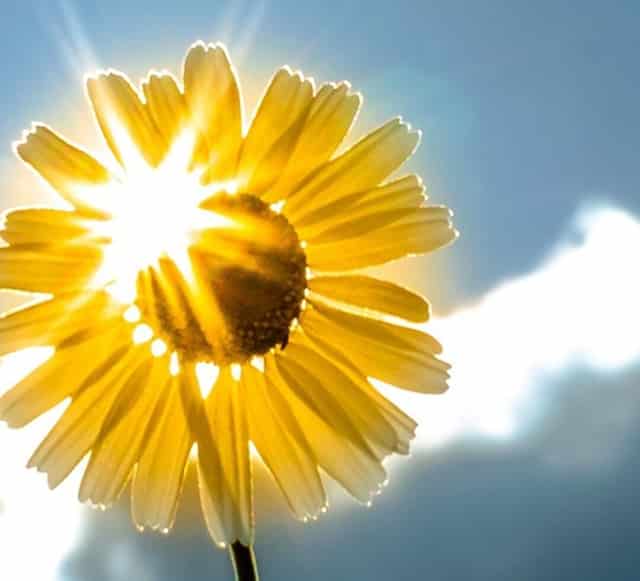 哪些专科院校好升本科