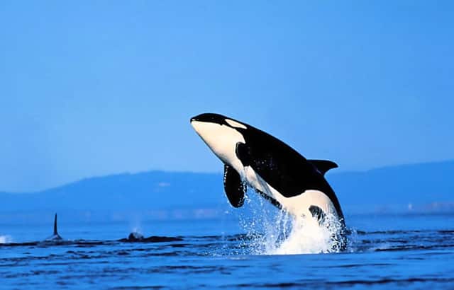 泰国普吉岛资讯