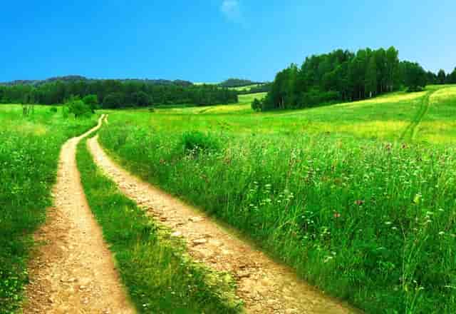 什么奶粉口感比较好喝